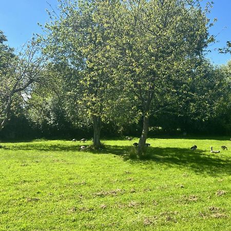 Adorable Two Bed Norfolk Broads Holiday Home - River Views With Moorings & Fishing Stalham Zewnętrze zdjęcie