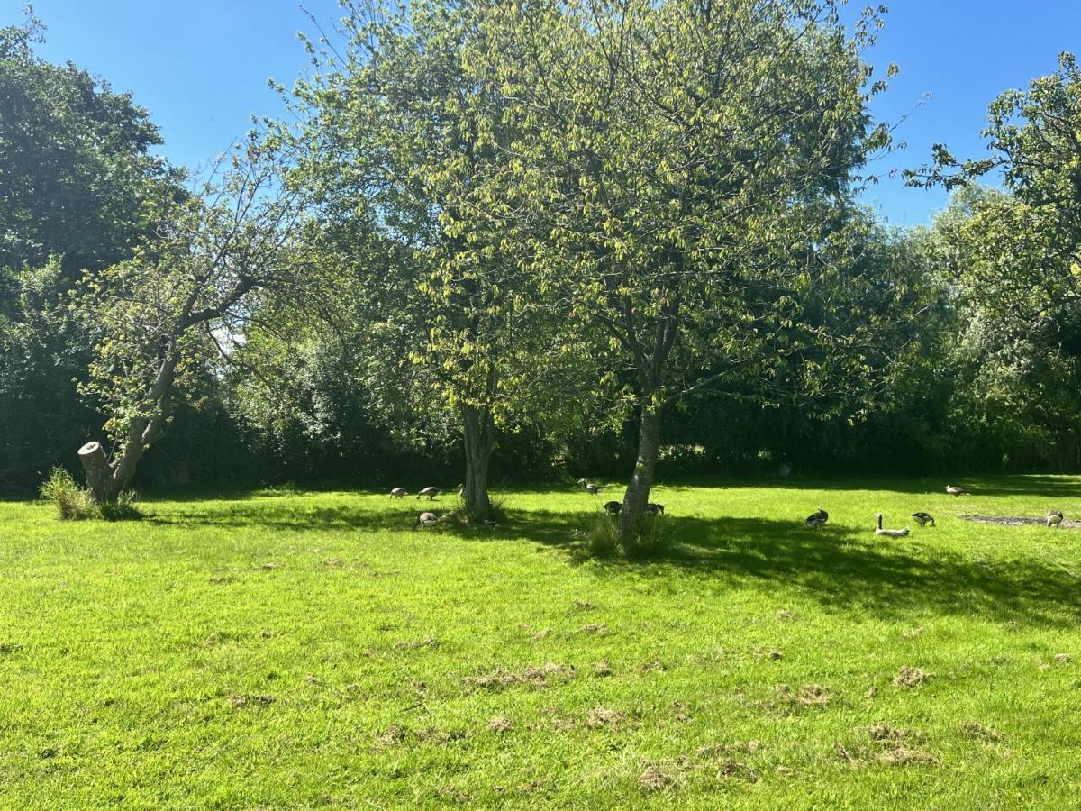 Adorable Two Bed Norfolk Broads Holiday Home - River Views With Moorings & Fishing Stalham Zewnętrze zdjęcie