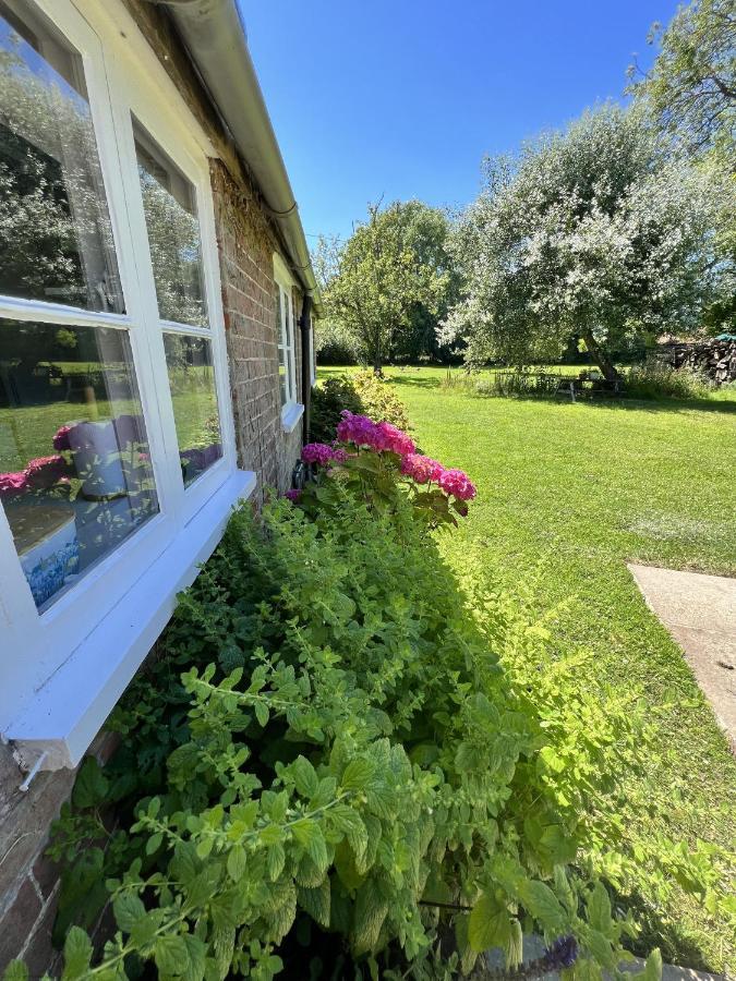 Adorable Two Bed Norfolk Broads Holiday Home - River Views With Moorings & Fishing Stalham Zewnętrze zdjęcie