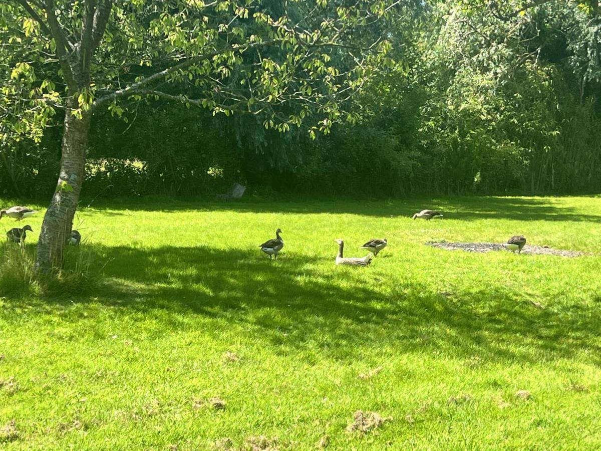 Adorable Two Bed Norfolk Broads Holiday Home - River Views With Moorings & Fishing Stalham Zewnętrze zdjęcie